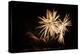 Fireworks at Havasu II-George Johnson-Premier Image Canvas