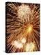 Fireworks Display-Steve Bavister-Premier Image Canvas