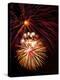 Fireworks Display-Brad Lewis-Premier Image Canvas