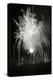 Fireworks I-Tammy Putman-Premier Image Canvas