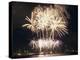 Fireworks on July 4th, at Gasworks Park; Space Needle in Background, Seattle, Washington, USA-Jamie & Judy Wild-Premier Image Canvas