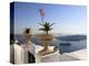 Firostefani, Santorini, Cyclades Islands, Greek Islands, Greece, Europe-Hans Peter Merten-Premier Image Canvas