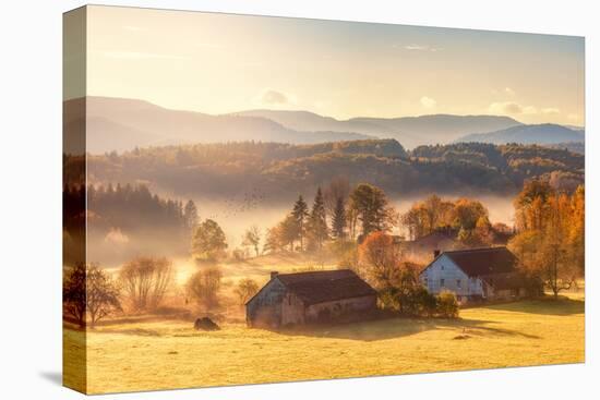 First Autumn Morning-Philippe Sainte-Laudy-Premier Image Canvas