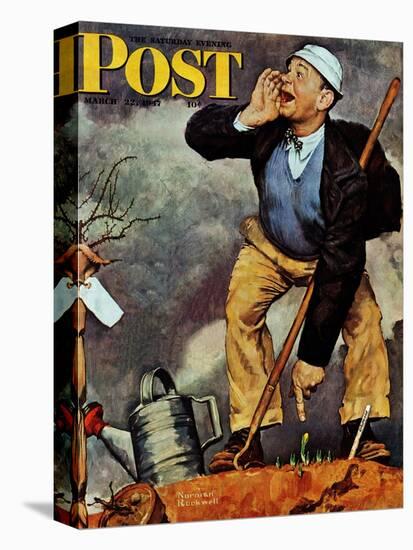 "First Flower" or "First Crocus" Saturday Evening Post Cover, March 22,1947-Norman Rockwell-Premier Image Canvas