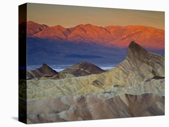 First Light on Zabriskie Point, Death Valley National Park, California, USA-Darrell Gulin-Premier Image Canvas