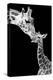 First Love - Giraffe-Incado-Premier Image Canvas