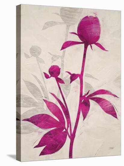 First Peony 1-Ivo Stoyanov-Stretched Canvas