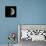 First Quarter Moon-Eckhard Slawik-Premier Image Canvas displayed on a wall