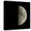 First Quarter Moon-Eckhard Slawik-Premier Image Canvas