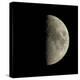 First Quarter Moon-Eckhard Slawik-Premier Image Canvas