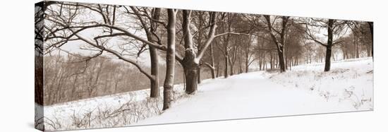 First Snow I-Mike Sleeper-Stretched Canvas