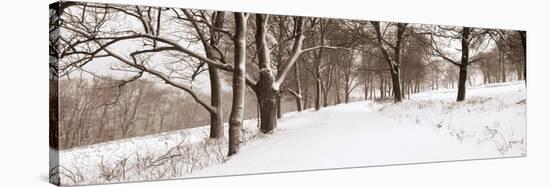 First Snow I-Mike Sleeper-Stretched Canvas