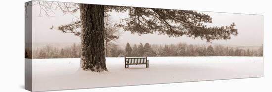 First Snow II-Mike Sleeper-Stretched Canvas