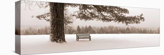First Snow II-Mike Sleeper-Stretched Canvas