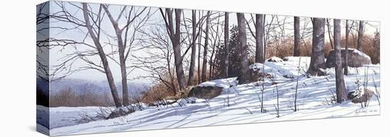 First Snow-Ray Hendershot-Stretched Canvas