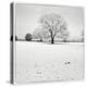 First Snow-Craig Roberts-Premier Image Canvas