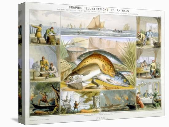 Fish, C1850-Robert Kent Thomas-Premier Image Canvas