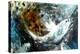 Fish Dream 2019 Oils on Canvas-jocasta shakespeare-Premier Image Canvas