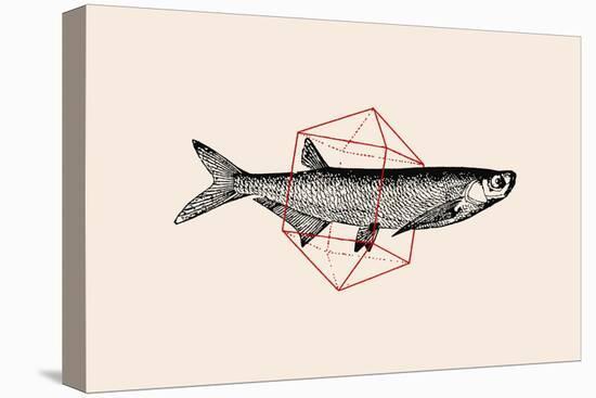 Fish in Geometrics Nº2-Florent Bodart-Premier Image Canvas