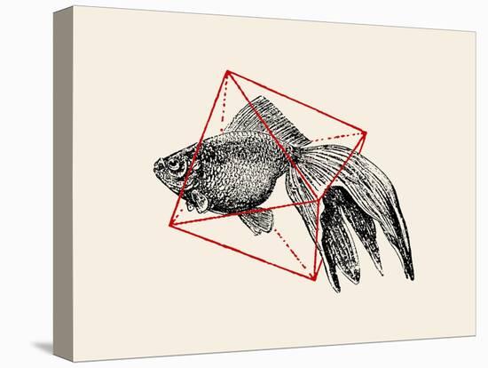 Fish in Geometrics Nº3-Florent Bodart-Premier Image Canvas