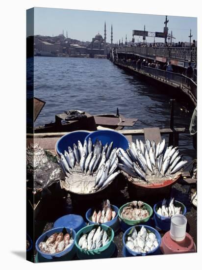 Fish Market, Galata Bridge, Istanbul, Turkey, Eurasia-Adam Woolfitt-Premier Image Canvas