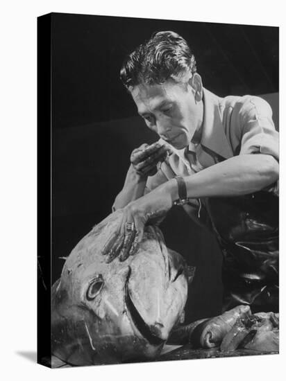 Fish Smeller Romy Madrigal Checking a Fish for Freshness-Allan Grant-Premier Image Canvas