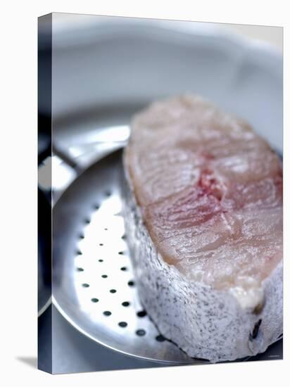 Fish Steak on a Skimmer-Alain Caste-Premier Image Canvas