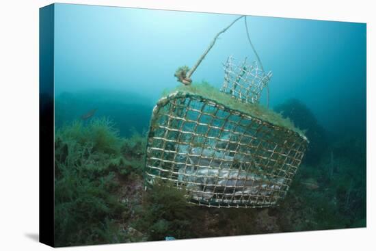 Fish Trap over a Coral Reef, Cap De Creus, Costa Brava, Spain-Reinhard Dirscherl-Premier Image Canvas