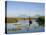 Fisherman, Agua and Pacaya Volcanoes in the Background, Monterrico, Pacific Coast, Guatemala-Michele Falzone-Premier Image Canvas