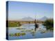 Fisherman, Agua and Pacaya Volcanoes in the Background, Monterrico, Pacific Coast, Guatemala-Michele Falzone-Premier Image Canvas