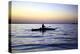 Fisherman in a Papyrus Boat, Lake Tana, Ethiopia, Africa-Simon Montgomery-Premier Image Canvas