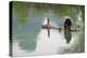 Fisherman on bamboo raft on Mingshi River with karst hills, Mingshi, Guangxi Province, China-Keren Su-Premier Image Canvas