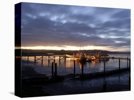 Fishing and Crabbing Boats at Low Tide after Sunset, in Dock at the End of the Road in Grayland-Aaron McCoy-Premier Image Canvas