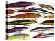 Fishing Artificial Lures, Thin Minnows-Anthony Harrison-Premier Image Canvas