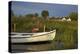 Fishing Boat in the Reed of the Saaler Bodden Close Ahrenshoop-Althagen-Uwe Steffens-Premier Image Canvas