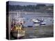Fishing Boats and Pleasure Boats in Harbour, Cote De Granit Rose, Brittany, France-David Hughes-Premier Image Canvas