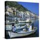 Fishing Boats at Port Town of Neapoli, Peloponnese, Greece, Europe-Tony Gervis-Premier Image Canvas