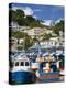 Fishing Boats in Carenage Harbour, St. George's, Grenada, Windward Islands, West Indies-Richard Cummins-Premier Image Canvas