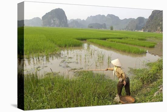 Fishing in the Rice Fields, Tam Coc, Ninh Binh Area, Vietnam, Indochina, Southeast Asia, Asia-Bruno Morandi-Premier Image Canvas