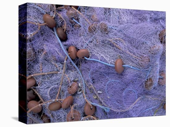 Fishing Nets on Grand Anse, Martinique, Caribbean-Walter Bibikow-Premier Image Canvas