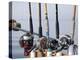 Fishing Poles, Alaska, Usa-Savanah Stewart-Premier Image Canvas