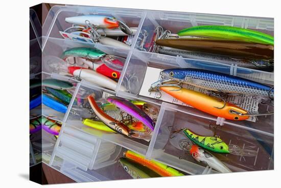 Fishing Tackle Box Lure & Bait-null-Stretched Canvas