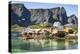 Fishing village on Reinefjorden, Saknesoya, Lofoten Islands-Tony Waltham-Premier Image Canvas