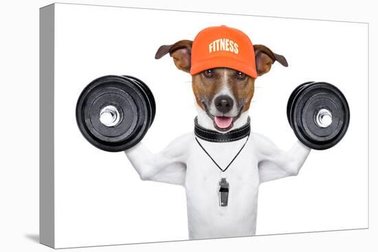 Fitness Dog-Javier Brosch-Premier Image Canvas