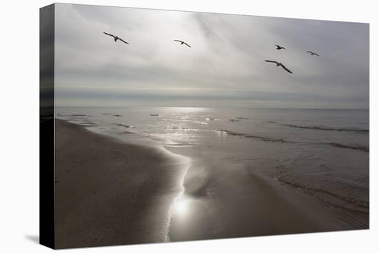 Five Birds, Grand Haven, Michigan '14 - Color-Monte Nagler-Premier Image Canvas