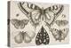 Five Butterflies, a Moth, and Two Beetles-Wenceslaus Hollar-Premier Image Canvas