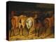 Five Horses Viewed from the Back-Théodore Géricault-Premier Image Canvas