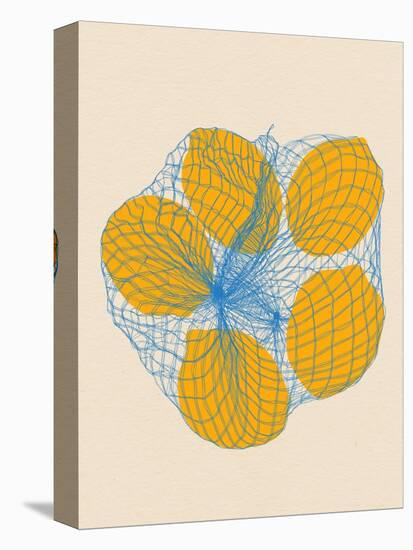 Five Lemons in a Net Bag-Rosi Feist-Premier Image Canvas