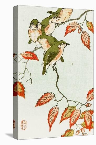 Five Small Birds Perch on a Acorn Tree-Koson Ohara-Premier Image Canvas