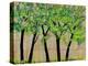 Five Trees in a Grove-Blenda Tyvoll-Stretched Canvas